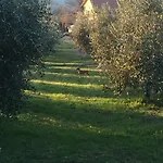 Dell Pane E Olio Appartement