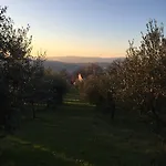 Dell Pane E Olio