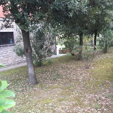 Appartamento Dell Agriturismo Pane E Olio Apartment *