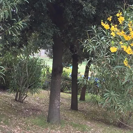 Dell Pane E Olio Apartamento *