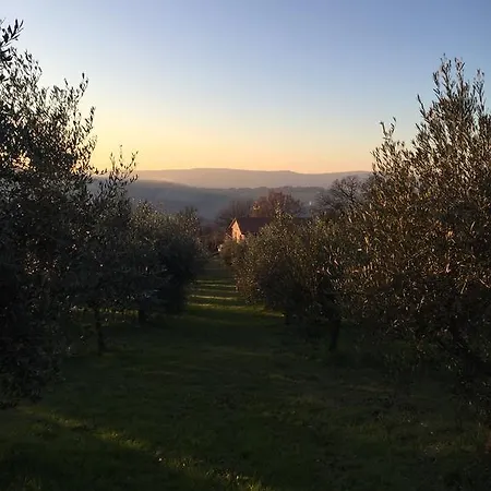 Appartamento Dell Agriturismo Pane E Olio