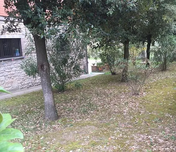 Dell Pane E Olio Apartament *