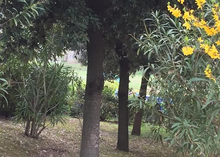 Dell Pane E Olio Apartament *