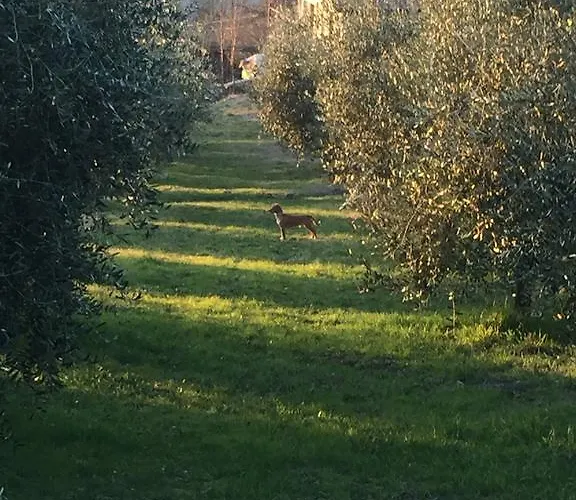 Dell Pane E Olio Apartament